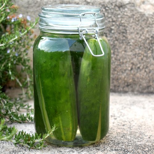 pepinos fermentados