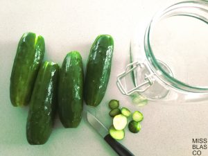 pepinos fermentados